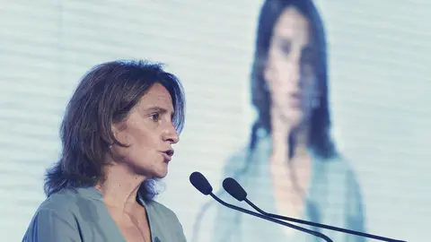 La ministra para la Transici&oacute;n Ecol&oacute;gica, Teresa Ribera, durante su intervenci&oacute;n en la jornada sobre 'Los retos del coche el&eacute;ctrico' en el Auditorio Casa del Lector del Matadero de Madrid.