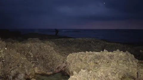 Costa Quebrada alberga safaris mareales nocturnos