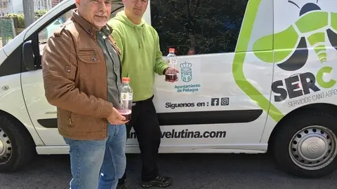 Trampeo avispa asi&aacute;tica