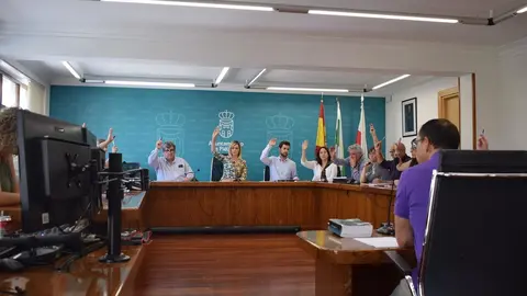 Pleno del Ayuntamiento de Pi&eacute;lagos