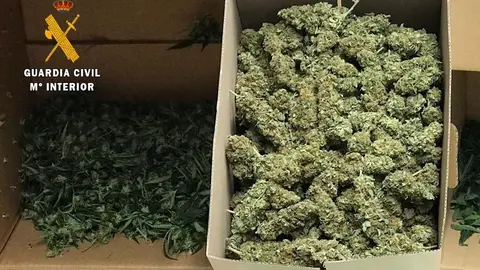 99DD0728-EE79-4A6A-BFE2-EAF9A1ED3477