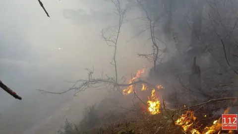 Incendios forestales