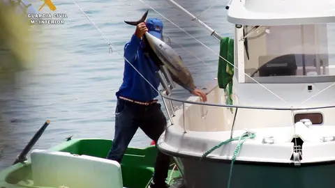 Pesca furtiva de bonitos en Castro Urdiales