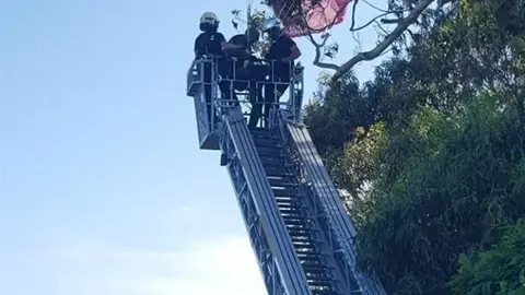 Rescate del parapentista atrapado en un &aacute;rbol junto a la playa de Matale&ntilde;as