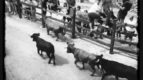 Captura de pantalla 2019-08-23 a las 9.14.11