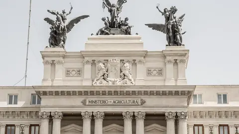 Miniserio de Agricultura, Pesca y Alimentaci&oacute;n