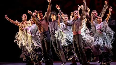 Escena del espect&aacute;culo 'Naturalmente flamenco'