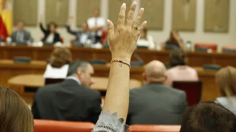 Una de las componentes de la Diputaci&oacute;n Permanente durante una votaci&oacute;n