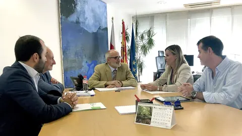 El consejero de Sanidad, Miguel Rodr&iacute;guez, se re&uacute;ne con la presidenta del Colegio de Farmac&eacute;uticos de Cantabria, Rita de la Plaza, entre otros