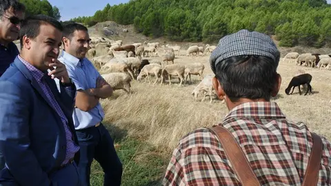 Unos 3.500 agricultores y ganaderos de C-LM en zonas de monta&ntilde;a recibir&aacute;n este viernes 5,4 millones de euros en ayudas