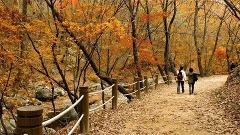 fotonoticia_20180904172536_640