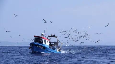 El Ministerio de Agricultura refuerza sus equipos t&eacute;cnicos y humanos para combatir la pesca ilegal