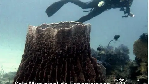 Cartel de la exposici&oacute;n del Club de Buceo Galatea