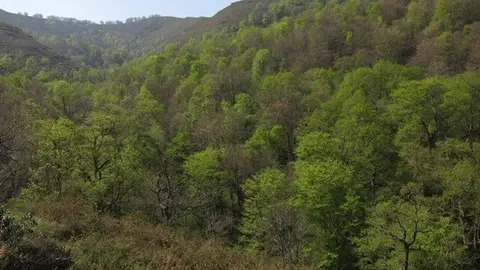 fotonoticia_20150118112944_640