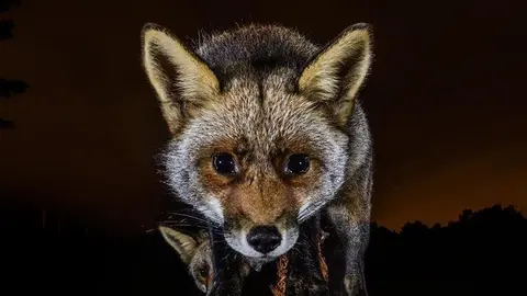 Cartel de FotoNoja 2019