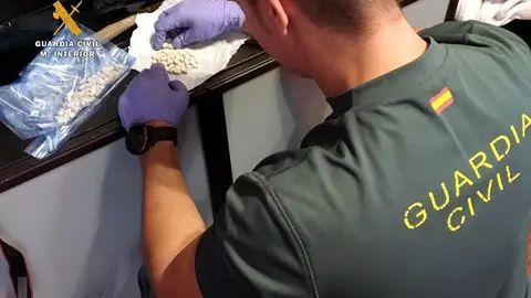 Detenidos dos j&oacute;venes por tr&aacute;fico de &eacute;xtasis y cultivo de marihuana