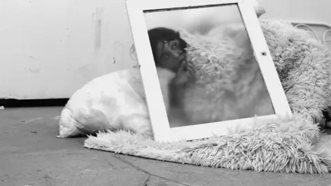 Caf&eacute; de las Artes