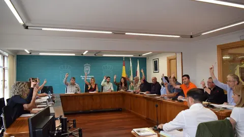 Pleno del Ayuntamiento de Pi&eacute;lagos