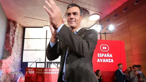 El secretario general del PSOE y presidente del Gobierno en funciones, Pedro S&aacute;n