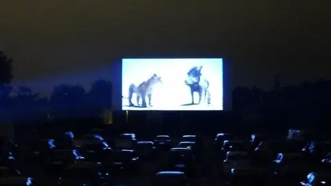 70257643_2447725838846351_3018117662573068288_o