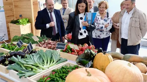 Alcaldesa visita proyecto Ampros en Mercasantander