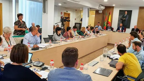 Pleno Presupuestos Torrelavega