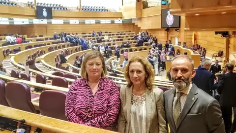Los senadores por Cantabria Isabel Fern&aacute;ndez, Gustavo Garc&iacute;a y Roc&iacute;o R&aacute;bago