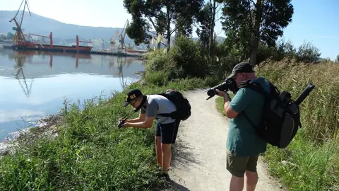 Marat&oacute;n Fotogr&aacute;fico en las Marismas Blancas