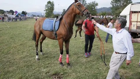 Presidente Caballos Molledo