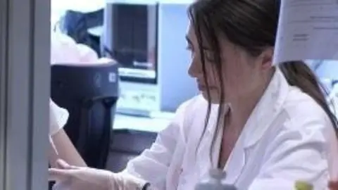 investigaci&oacute;n