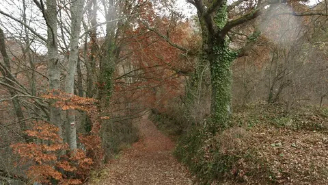 Oto&ntilde;o en Cantabria  