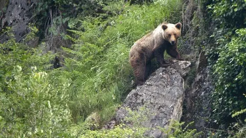 fotonoticia_20120813103328_640