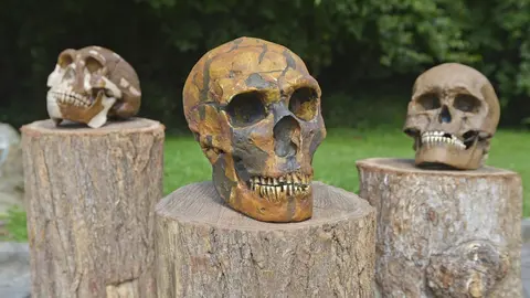 Taller Museo Altamira