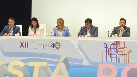 La alcaldesa de Santander, Gema Igual, en la mesa del Pleno de la FEMP
