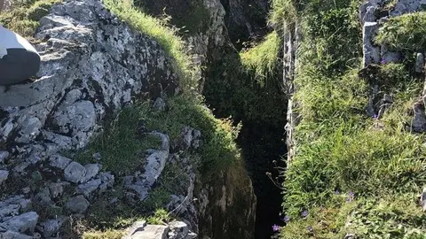 El hallazgo fue en la zona oriental de los Picos de Europa (macizo de &Aacute;ndara) dentro de los l&iacute;mites de Cantabria, concretamente en el interior de una torca denominada 'La Topinoria'