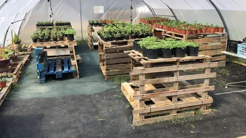 Taller de empleo de viveros y jardines en Noja