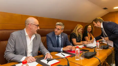 El vicepresidente y consejero de Universidades, Igualdad, Cultura y Deporte, Pablo Zuloaga, informa de los proyectos de legislatura de su departamento ante la comisi&oacute;n parlamentaria