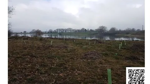 Cartel de la jornada ambiental en Campoo de Yuso