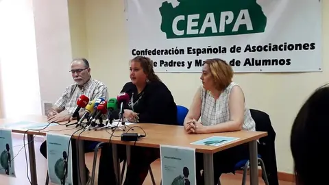 La Confederaci&oacute;n Espa&ntilde;ola de Asociaciones de Padres y Madres de Alumnos (CEAPA) hace balance del inicio del curso 2019/2020