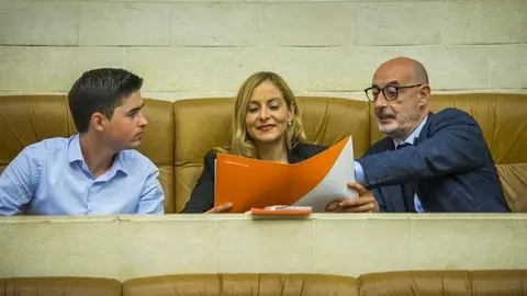 Los tres diputados de Cs, F&eacute;lix &Aacute;lvarez, Marta Garc&iacute;a y Diego Mara&ntilde;&oacute;n, en el hemiciclo del Parlamento