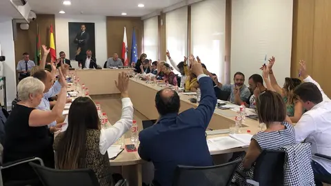 Pleno del Ayuntamiento de Torrelavega