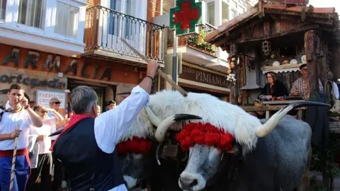 Carreta-ganadora-19-770x481