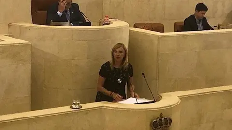 La n&uacute;mero 2 del PSOE de Cantabria y portavoz del grupo parlamentario socialista, Noelia Cobo