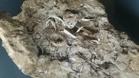 El 'conchero' de la cueva de 'Las c&aacute;scaras' de Alfoz de Lloredo