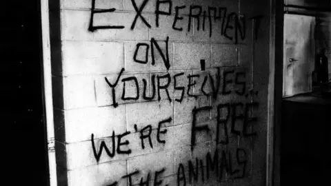 &lsquo;EXPERIMENT ON YOURSELVES&hellip; WE&rsquo;RE FREE &ndash; THE ANIMALS (Not Quite A Terrorism)&rsquo;  De Quique Ortiz
