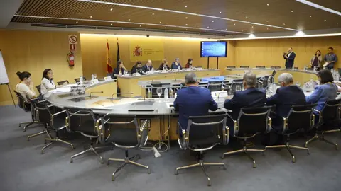 Grupo de Trabajo de los Caminos de Santiago.