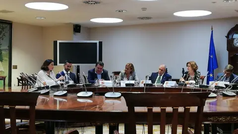 La concejala de Turismo, Miriam D&iacute;az, ha asistido hoy en Madrid a la reuni&oacute;n de la Comisi&oacute;n Ejecutiva de la Red DTI (Dispositivo Tur&iacute;stico Inteligente)