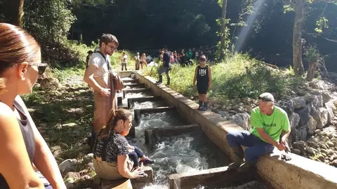 Voluntarios acondicionan la escala para salmones de El Arral, en Li&eacute;rganes