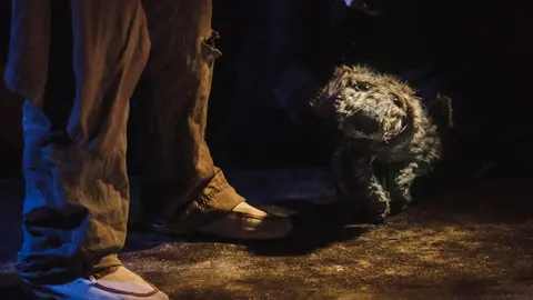 Escena de 'Lost Dog... Perro Perdido'