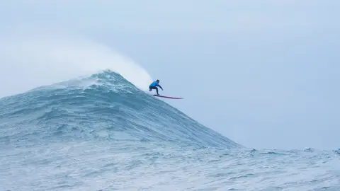 Vaca Gigante. Ola. Surf. Surfero. 